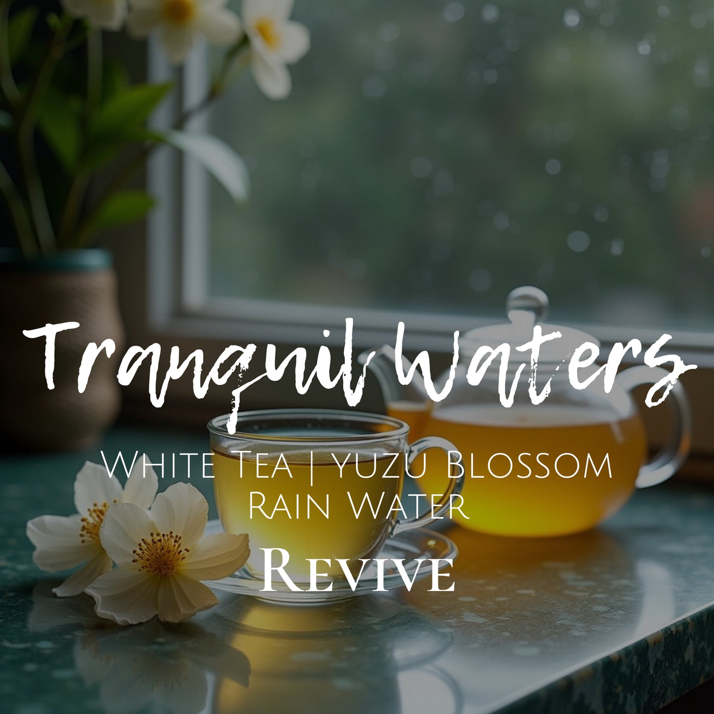 Tranquil Waters  - Revive - 8 oz Candle - White Tea | Yuzu Blossom | Rain Water